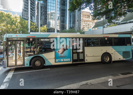 Sydney, Australia - February 12, 2019: Public transport bus at intersection downtown with green foliage and highrise buildings in the back. Advertisem Stock Photo