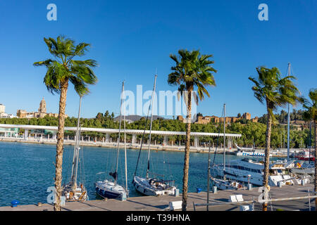 Port malaga with cathedral and Alcazaba background and palm trees Stock Photo