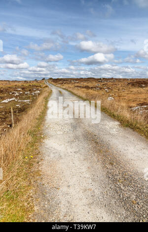 Farm road in a bog with typical vegetation and rocks, Spiddal, Galway, Ireland Stock Photo