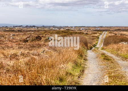 Farm road in a bog with typical vegetation and rocks, Spiddal, Galway, Ireland Stock Photo