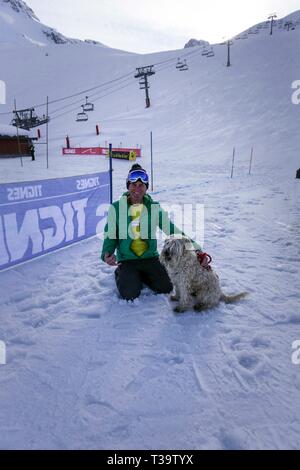 Stunning Australian Shepherd Dog in Snow Portrait (beautiful eyes), Tignes, France. Stock Photo