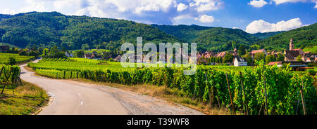 Traditional Riquewihr village,view with vineyards ,Alsace region,France Stock Photo