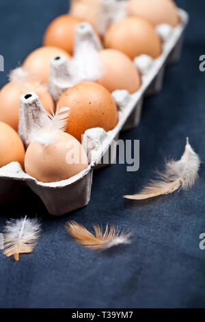 Farm chicken eggs in cardboard container and feathers closeup on black background. Stock Photo