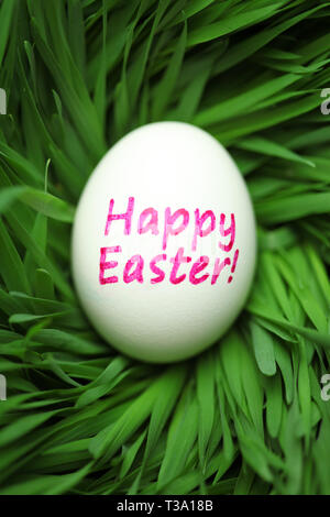 Single Happy Easter egg hidden in grass Stock Photo
