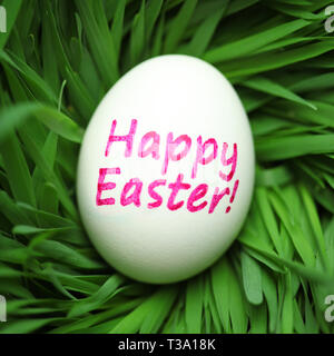 Single Happy Easter egg hidden in grass Stock Photo