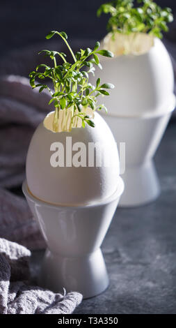 microgreens in the eggshells, easter concept Stock Photo