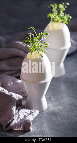 microgreens in the eggshells, easter concept Stock Photo