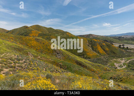 Beautiful superbloom vista in a mountain range near Lake Elsinore, Southern California Stock Photo