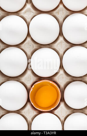 Download Ten Eggs In Yellow Box Stock Photo Alamy Yellowimages Mockups