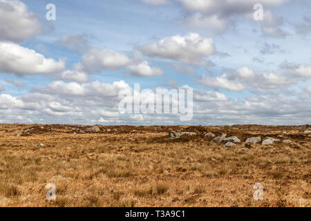 Farm field in a bog with typical vegetation and rocks, Spiddal, Galway, Ireland Stock Photo