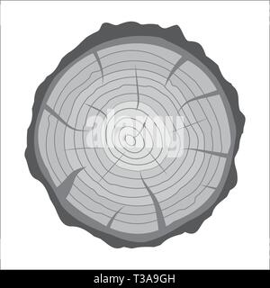 Cross section of tree stump or trunk. Wood cut. Vector illustration in flat style Stock Vector