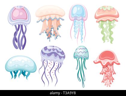 Set of Sea jellyfish. Tropical underwater animal. Medusa aquatic organism, cartoon style design. Flat vector illustration isolated on white background Stock Vector