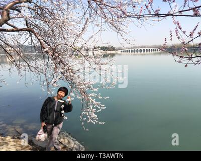 Beijing, China. 16th Mar, 2019. A woman poses for photos with flowers at the Summer Palace in Beijing, capital of China, March 16, 2019. Credit: Wei Mengjia/Xinhua/Alamy Live News Stock Photo