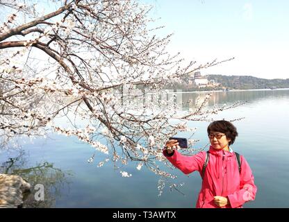 Beijing, China. 16th Mar, 2019. A woman poses for photos with flowers at the Summer Palace in Beijing, capital of China, March 16, 2019. Credit: Wei Mengjia/Xinhua/Alamy Live News Stock Photo