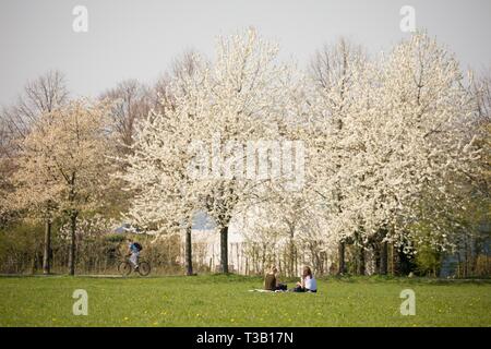 Hannover, Germany. 08th Apr, 2019. Two young women enjoy the sunny weather on a meadow, while a cyclist rides past flowering cherry trees. Credit: Moritz Frankenberg/dpa/Alamy Live News Stock Photo