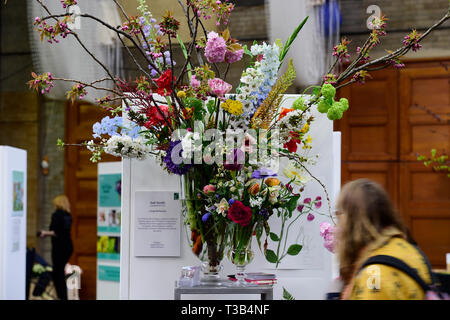 London, UK. 8th April, 2019. The Royal Horticultural Society’s (RHS) London Spring Launch and Orchid Show, opening 9-10 April, showcases some of the finest spring plant displays, exotic orchids and the chance to sneak a preview of the RHS Shows 2019 line-up. Credit: Malcolm Park/Alamy Live News. Stock Photo