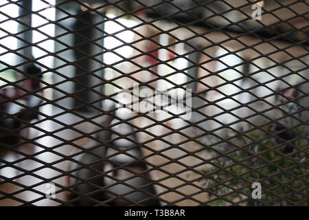 black grill partition with blur background. Stock Photo