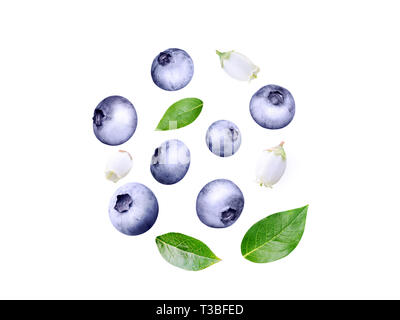 Flying blueberry swirl. Ripe and juicy purple berries, fresh leaves and white flowers isolated on white. Stock Photo