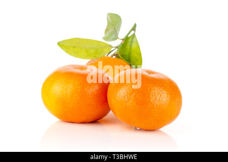 Group of three whole fresh orange mandarine with green leaves isolated on white background Stock Photo