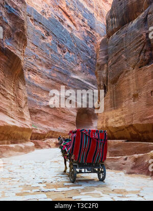 A horse carriage with tourists in the Siq the canyon leading to the main entrance to the ancient Nabatean city of Petra, Jordan.