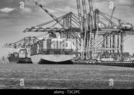 Black And White Photo Of The Container Ship, Hamburg Bridge, Loading And Unloading In The Port Of Los Angeles, California, USA. Stock Photo