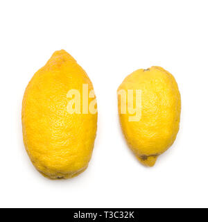Trendy ugly organic lemons from home garden. Healthy eating concept.Vegetables flat vegan vitamins. Stock Photo