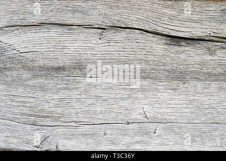 Old white oak wood for background or old grey wooden texture. Old oak for vintage table or furniture texture. Surface eroded by time. More than a hund Stock Photo