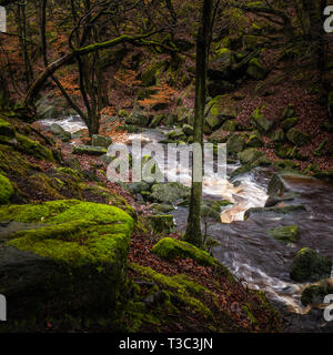 Padley Gorge is a deep but narrow valley in the Peak District, Derbyshire Stock Photo