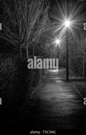 Path and streetlights at night, black and white Stock Photo - Alamy
