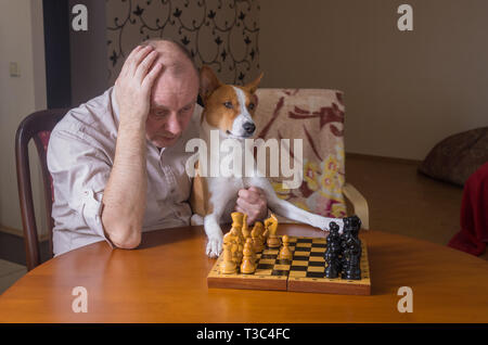 Mature man with basenji dog hard looking on a chess board while thinking about next move in a chess family tournament Stock Photo