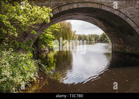 A scenic view of the River Tees at Yarm  showing the  bridge and tree lined river banks Stock Photo