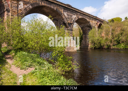 A scenic view of the River Tees at Yarm  showing the  bridge and tree lined river banks Stock Photo