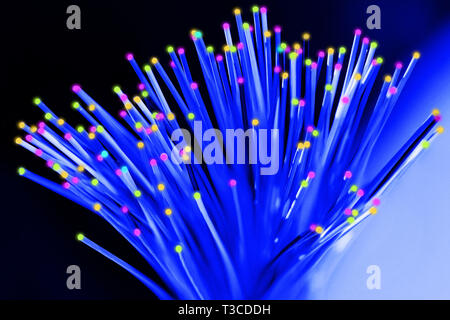 Fiber optical network cable close up Stock Photo