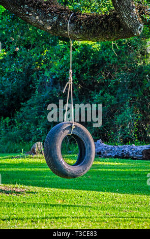 A tire swing hangs from a tree in Bayou La Batre, Alabama, May 9, 2015. Stock Photo