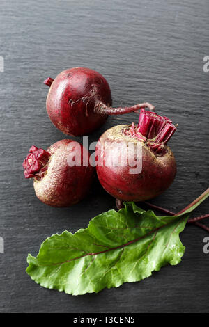 whole young beets on the table, on a black background. space for text Stock Photo