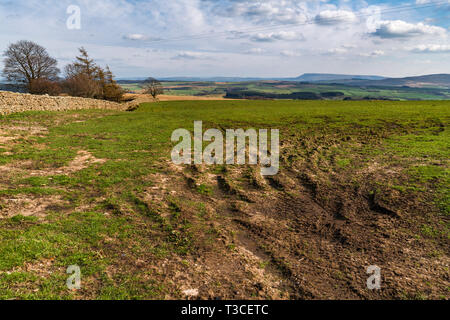 Looking through a gateway on Merrybent hill towards a distant Pendle Hill in Lancashire, England. 06 April 2019 Stock Photo