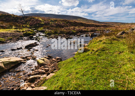 A confluence of waters. Near Costy Clough feeding into a juvenile River Hodder, Forest of Bowland, Lancashire, England. 06 April 2019 Stock Photo