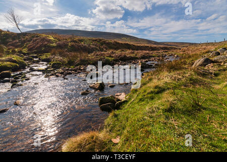 A confluence of waters. Near Costy Clough feeding into a juvenile River Hodder, Forest of Bowland, Lancashire, England. 06 April 2019 Stock Photo
