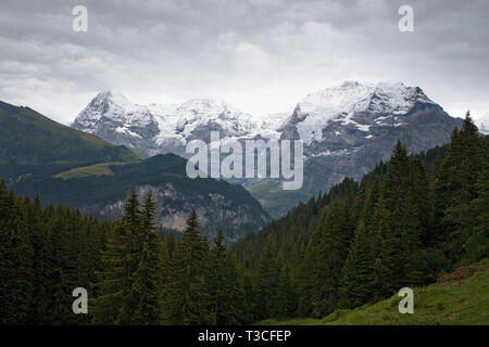 The Jungfrau Massif and the Lauterbrunnen valley from an alp near Winteregg, Bernese Oberland, Switzerland Stock Photo