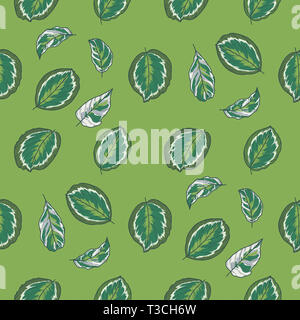 Tropical pattern with jungle leaves. Exotic leaves illustrations