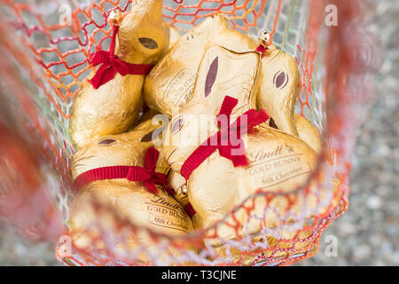 Lindt gold bunnies in shopping bag Stock Photo