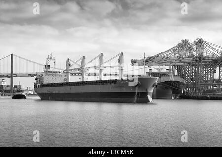Black And White Photo Of The Bulk Carrier, LA BAMBA, Escorted By Tugs Leaving The Port Of Los Angeles, California, USA. Stock Photo