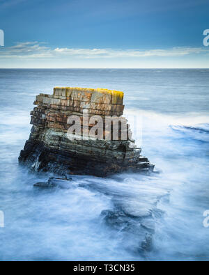 Rough seas around a sea stack at Deerness, Orkney Islands. Stock Photo