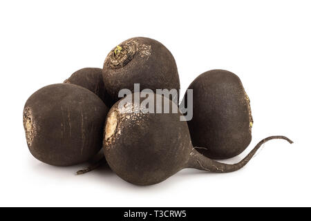 five black radish isolated on white background. Stock Photo