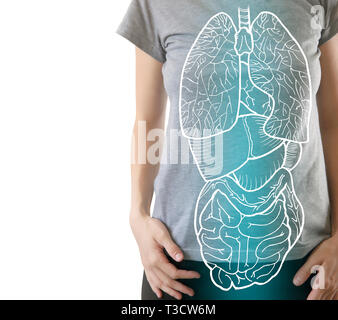 highlighted blue internal organs of healthy human organsim / protection from illnesses Stock Photo