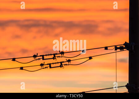 Sunset sky revealing beautiful colors and shades and silhouettes Stock Photo