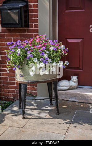 Old wash basin filled with petunia flowers on a front door step, Strasburg, Pennsylvania, USA, house spring container gardens pt cottage garden pots Stock Photo