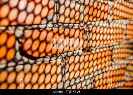 Closeup shadow from perforated net on brick wall. Texture of big holes with depth of field. Horizontal abstract background Stock Photo
