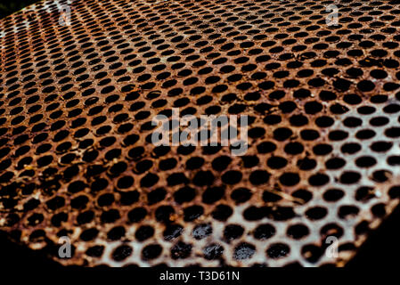 Perforated rusty iron sheet texture. Surface with depth of field, abstract industrial mesh background Stock Photo