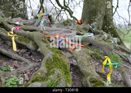 ribbons on beech tree roots Avebury England Stock Photo